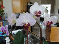 DSC00087