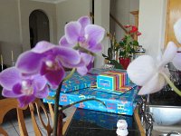 DSC00088