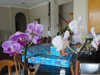 DSC00089