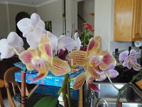 DSC00090
