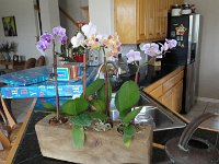 DSC00091
