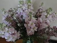 DSC00094