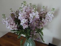 DSC00095