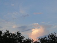 DSC00096