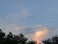 DSC00098