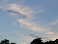 DSC00099