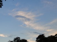 DSC00100