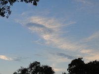 DSC00101