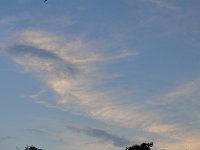 DSC00102