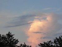 DSC00104