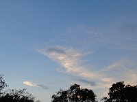 DSC00106
