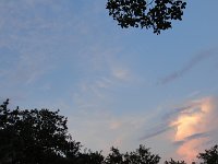 DSC00107