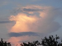 DSC00109