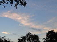 DSC00110