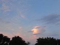 DSC00113