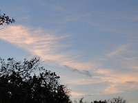 DSC00115