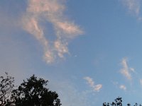 DSC00117