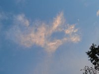 DSC00118