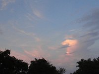DSC00119