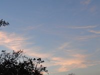 DSC00120