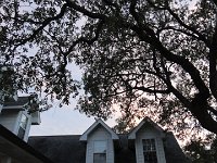 DSC00123
