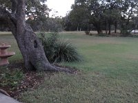 DSC00125