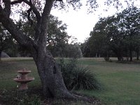 DSC00126