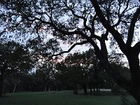 DSC00130