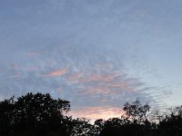 DSC00131