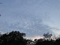 DSC00135
