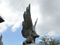 DSC00184