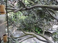 DSC00262