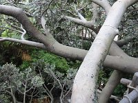 DSC00264