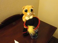 DSC00368