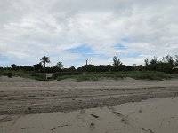 DSC00383