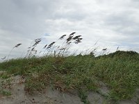 DSC00387