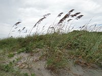 DSC00388
