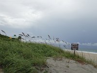 DSC00389