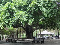 DSC00393