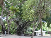 DSC00396