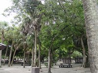 DSC00399