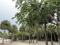 DSC00400