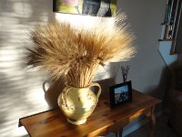 DSC00416