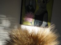DSC00417