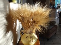 DSC00418