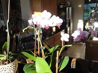 DSC00431