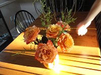 DSC00437