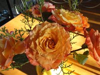 DSC00438