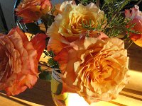 DSC00439
