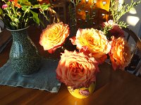 DSC00443